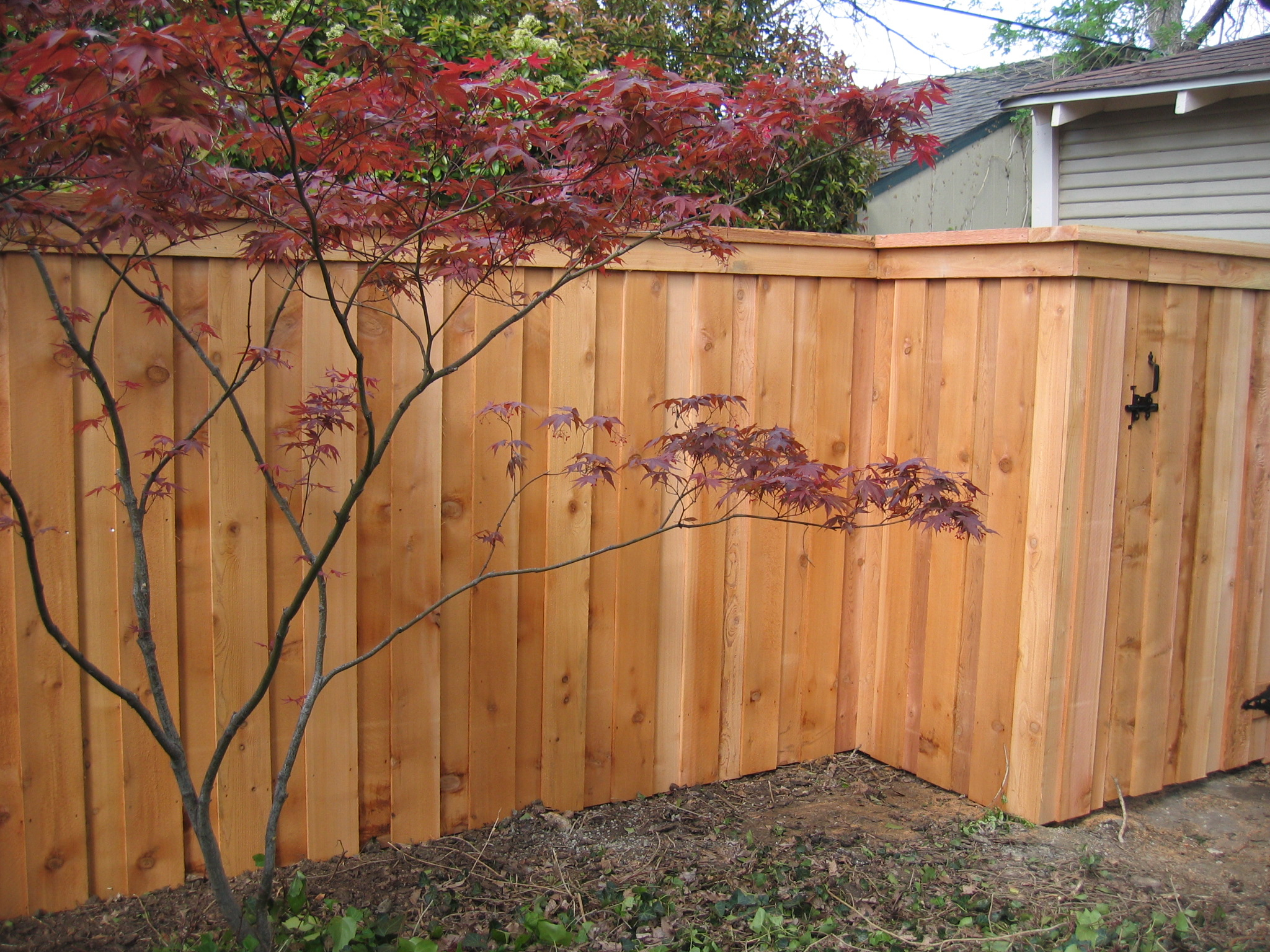 Clear Stain Board On Board Fence throughout proportions 2048 X 1536
