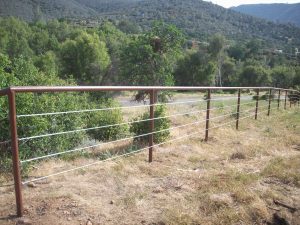 Colorado Pipe Fencing Google Search Dog And Horse Fencing for size 3056 X 2292