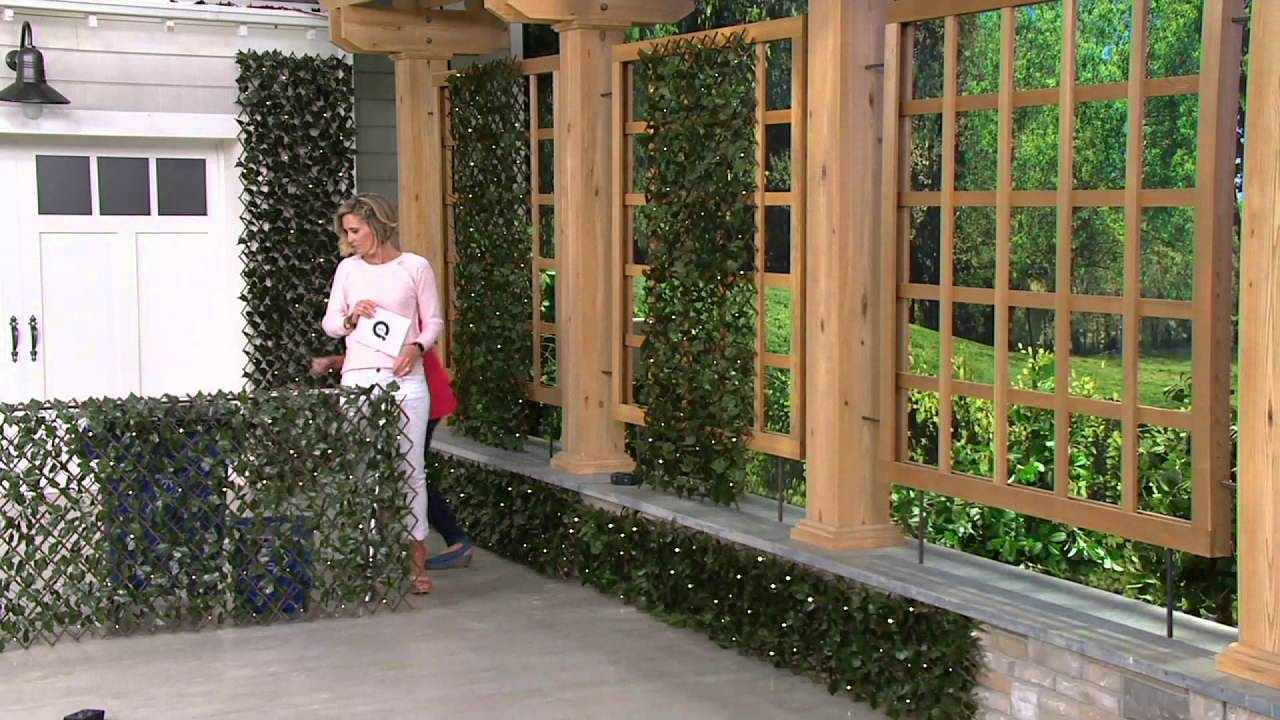 Compass Home Expandable Faux Ivy Privacy Fence With Lights On Qvc within proportions 1280 X 720
