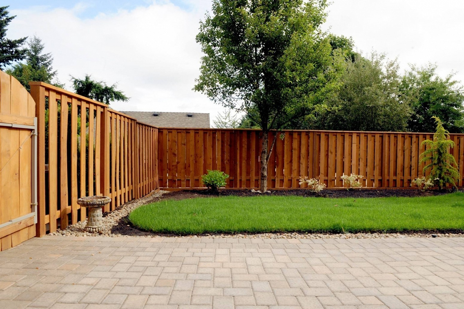 Cool Backyard Fence Painting Ideas with regard to size 1552 X 1033