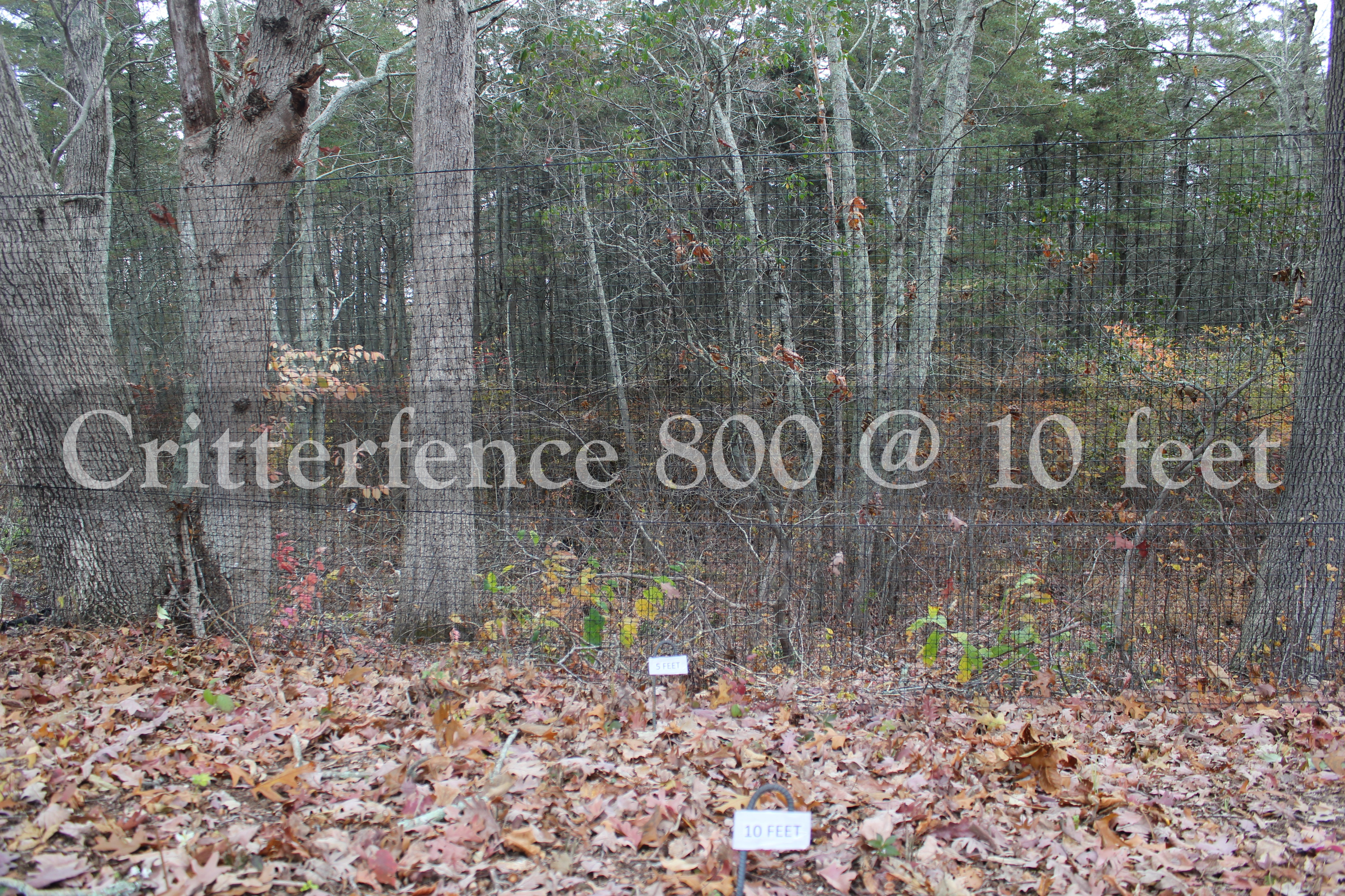 Critterfence 800 75 X 330 pertaining to measurements 5184 X 3456