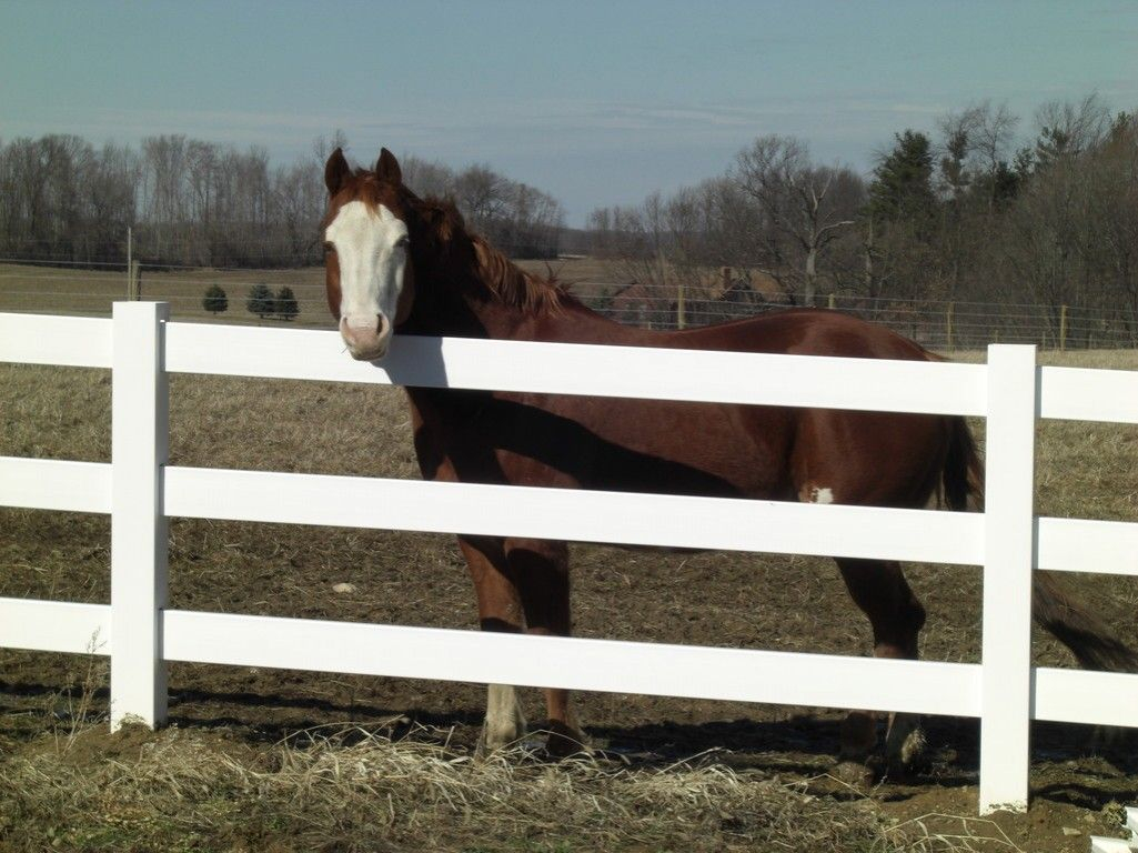 Customized Vinyl Fence Deck Sales Horse Fence Construction In pertaining to measurements 1025 X 768