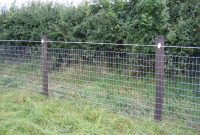 Declan Landy Stablemesh Horse Fence regarding size 2592 X 1944