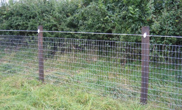 Best Horse Fence Wire • Fence Ideas Site