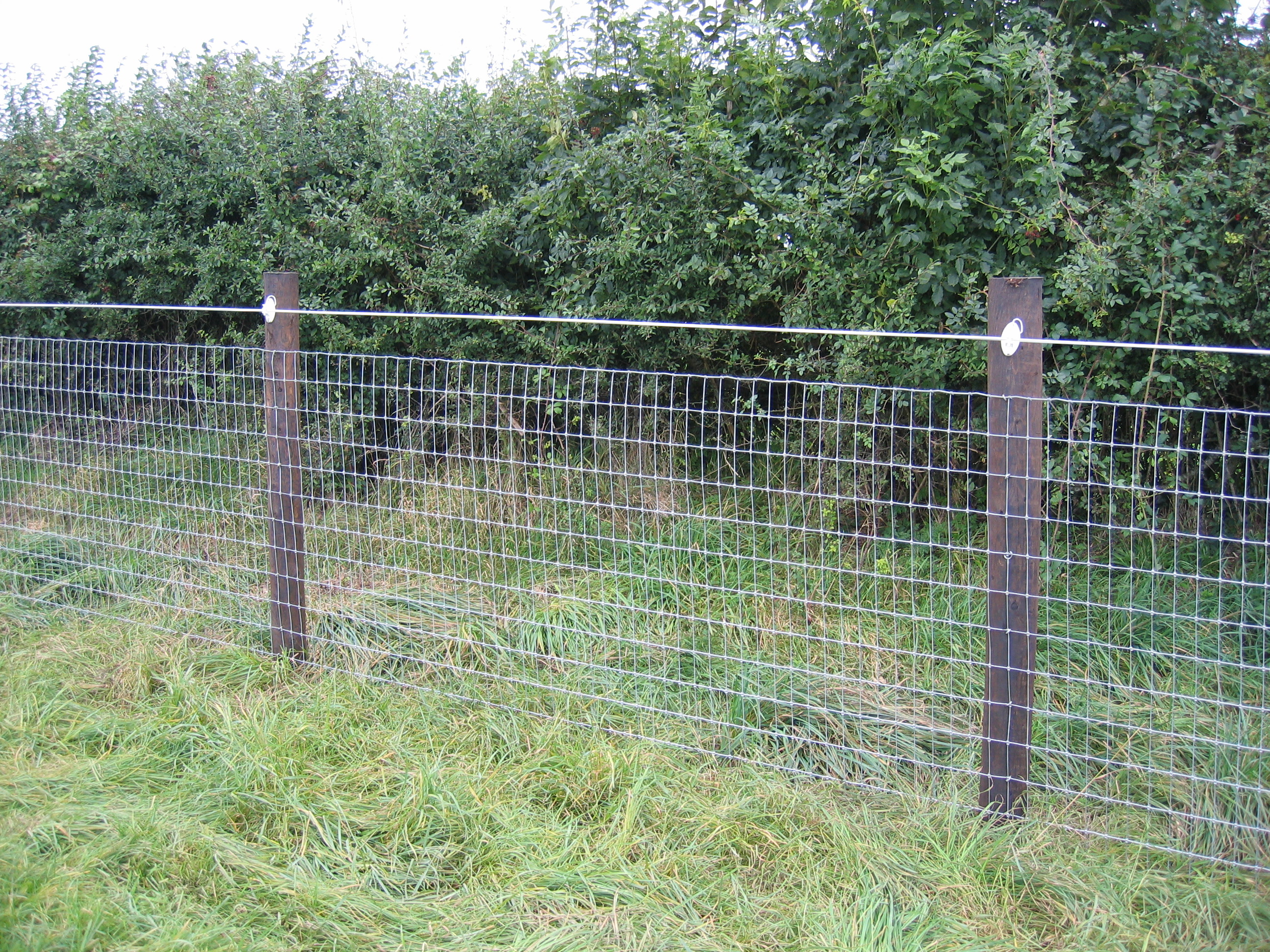 Declan Landy Stablemesh Horse Fence regarding size 2592 X 1944