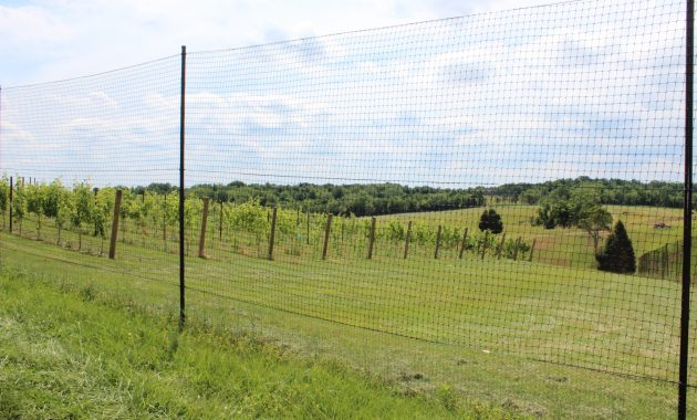6' Plastic Deer Fence • Fence Ideas Site