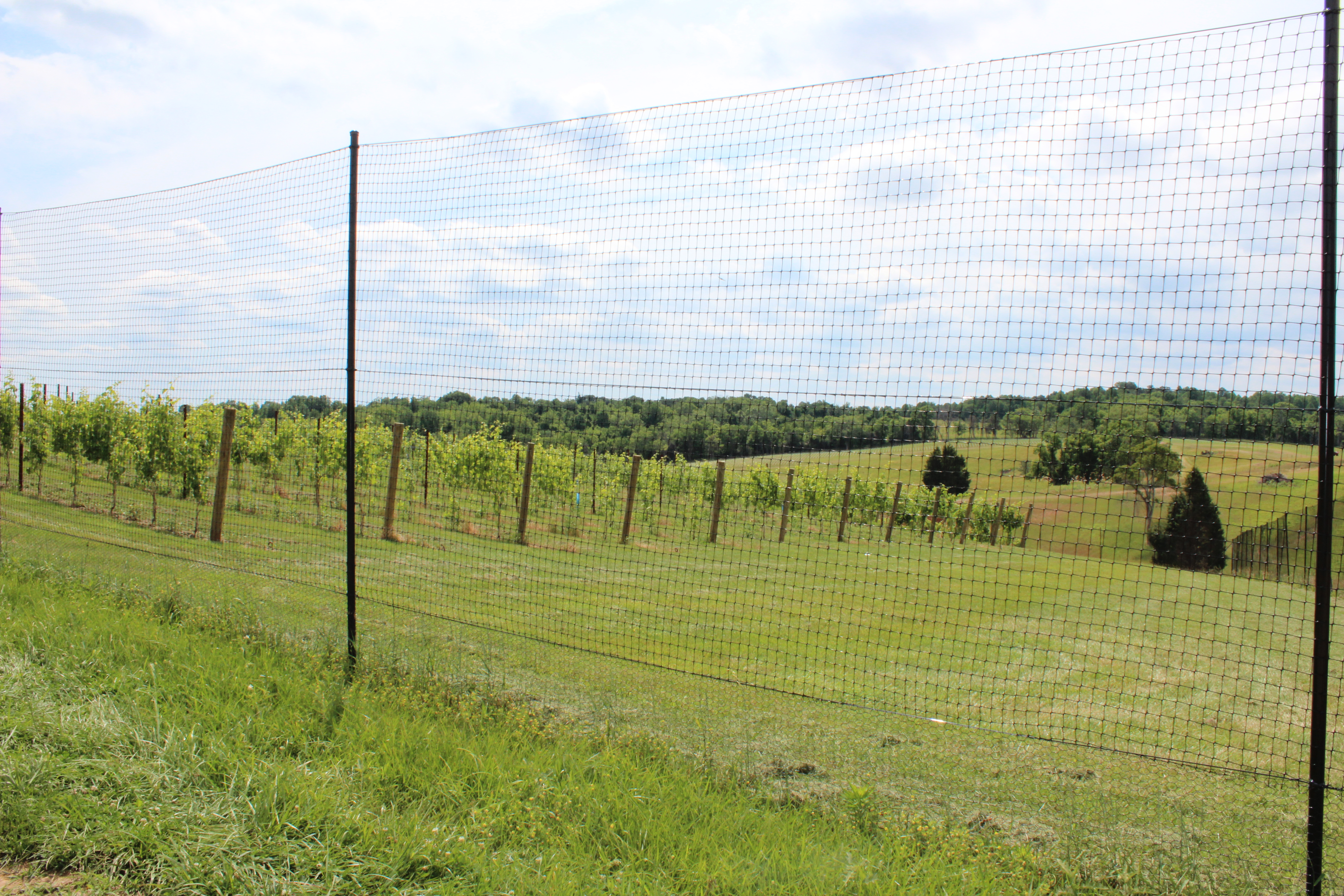 Deer Behavior And Poly Fence Effectiveness Deerbusters throughout size 5184 X 3456