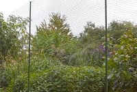 Deer Fence Kit Fencing Keeps Deer Out Of The Garden Gardeners with dimensions 2000 X 2666