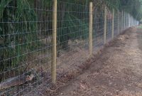 Deer Fencing Dershire Stock Fencing Ltd throughout dimensions 3264 X 2448