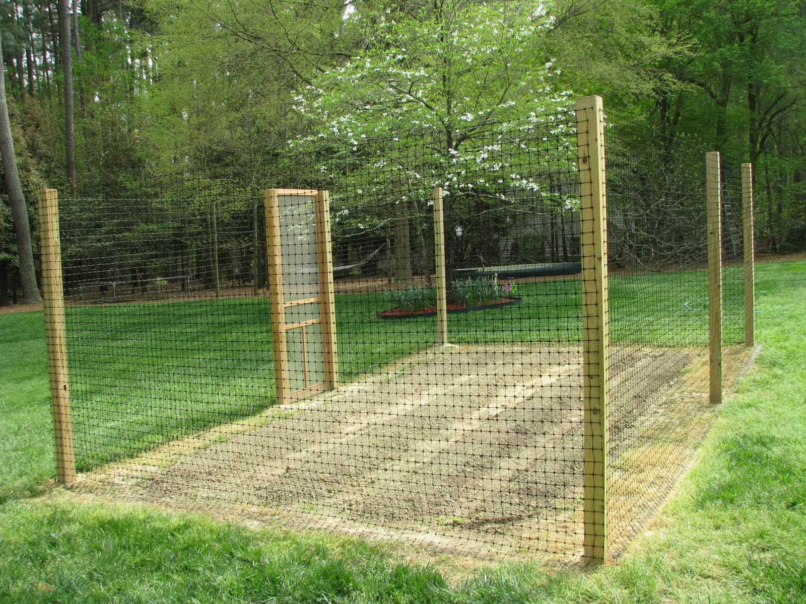 Deer Proof Garden Fence Some Nice Photos From Chris In Raleigh Nc regarding proportions 1600 X 1200