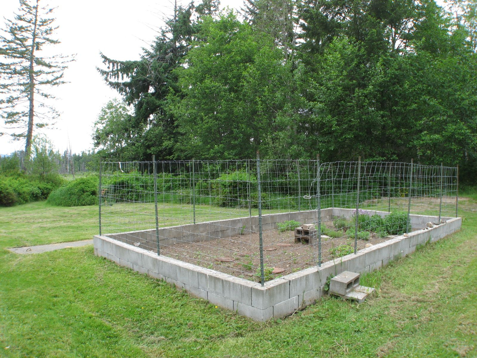 Deer Proof Vegetable Garden Ft Deer Proof Fence Surrounds The regarding measurements 1600 X 1200