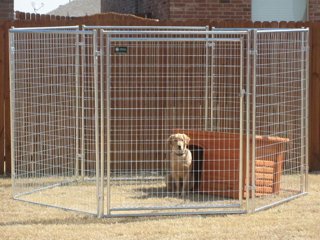 Definition And Function Of Wireless Indoor Pet Fence in size 1024 X 768