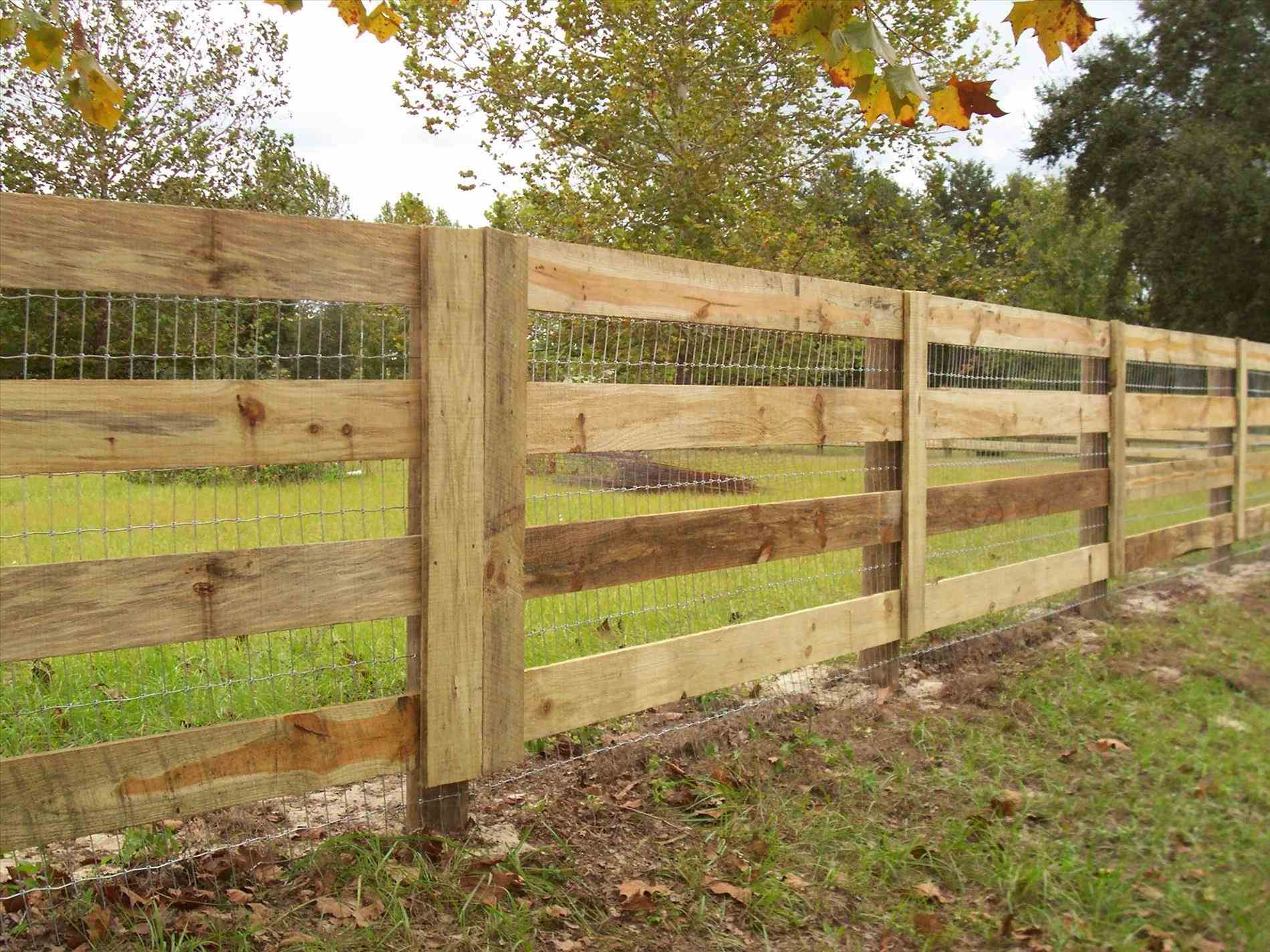 Digital Camera Wire Mesh Frightening Wood And Chain Link Fencing In within proportions 1900 X 1425