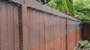 Diy Cat Fence New Diy Linktrends throughout size 1280 X 720