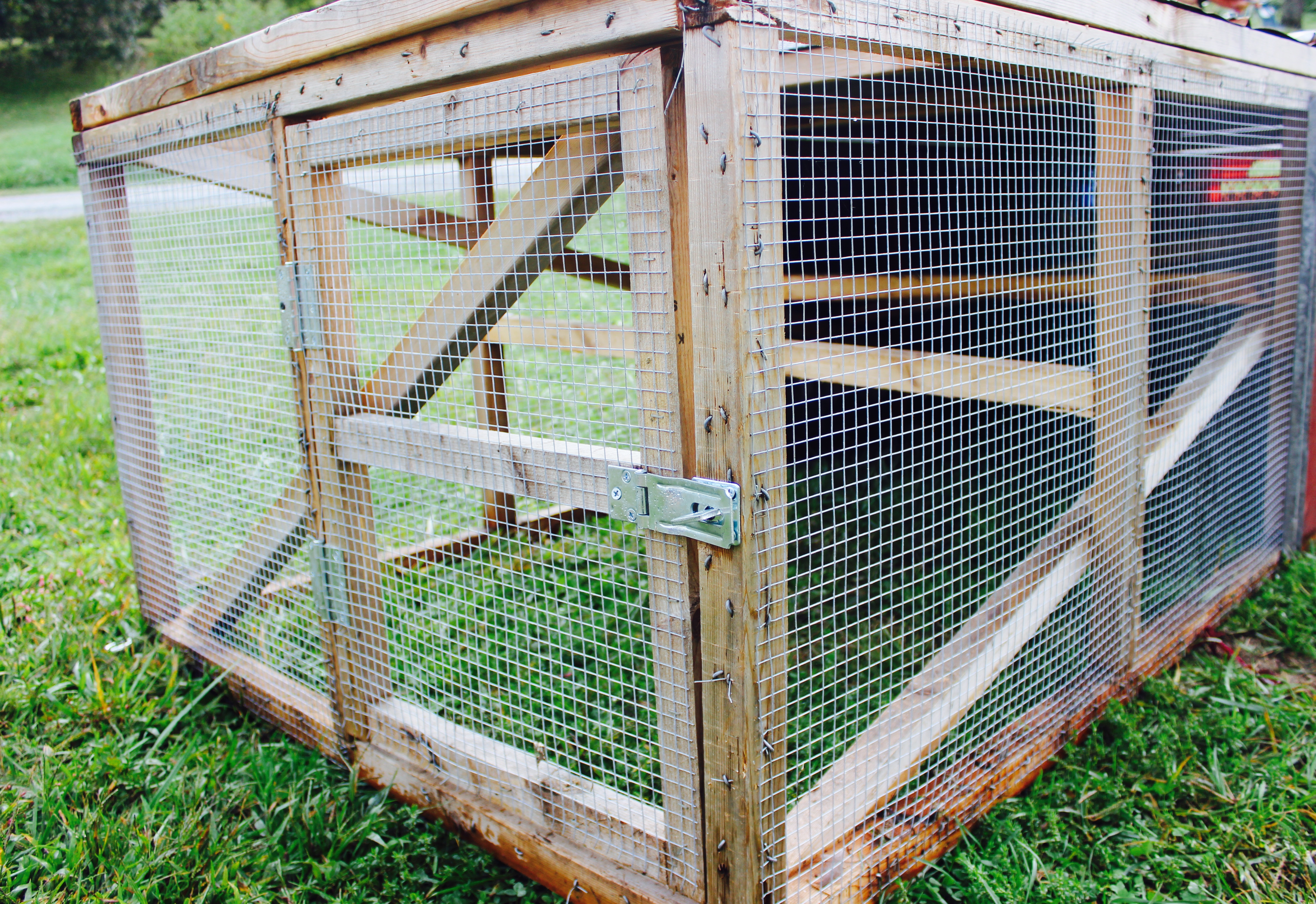 Diy Chicken Tractor For Less Than 200 Abundant Permaculture throughout measurements 5033 X 3456