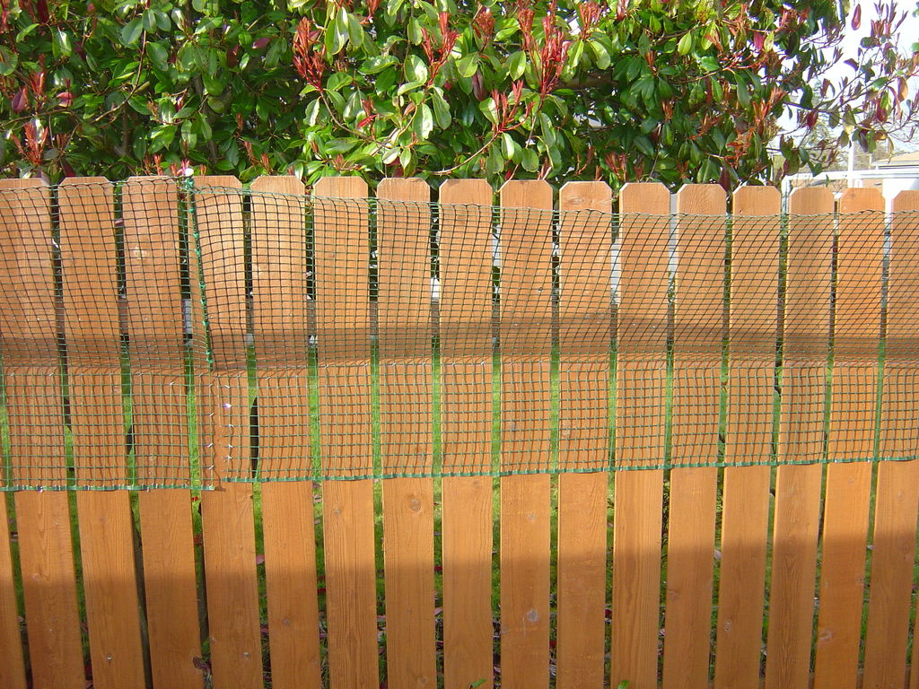 Diy Dog Fence Cat Proof Design Idea And Decorations Installation inside proportions 1024 X 768