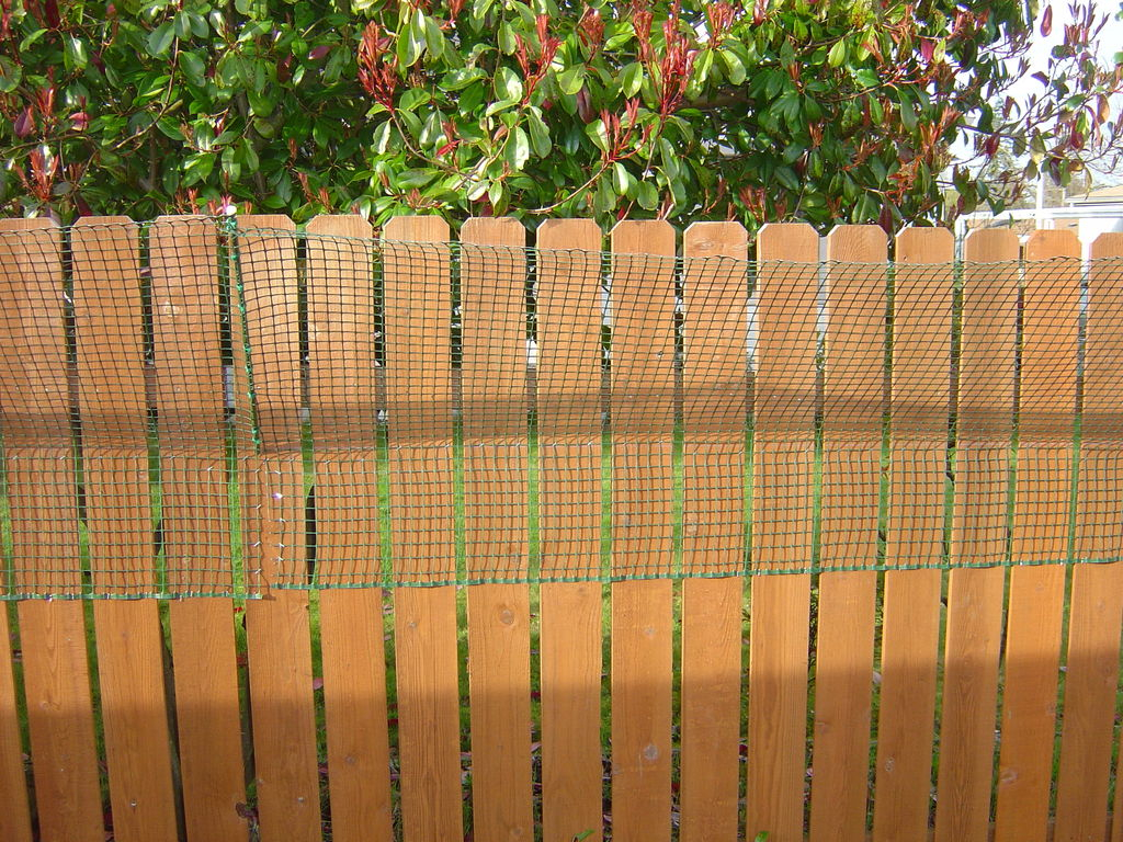 Diy Dog Fence Cat Proof Design Idea And Decorations Installation with regard to sizing 1024 X 768