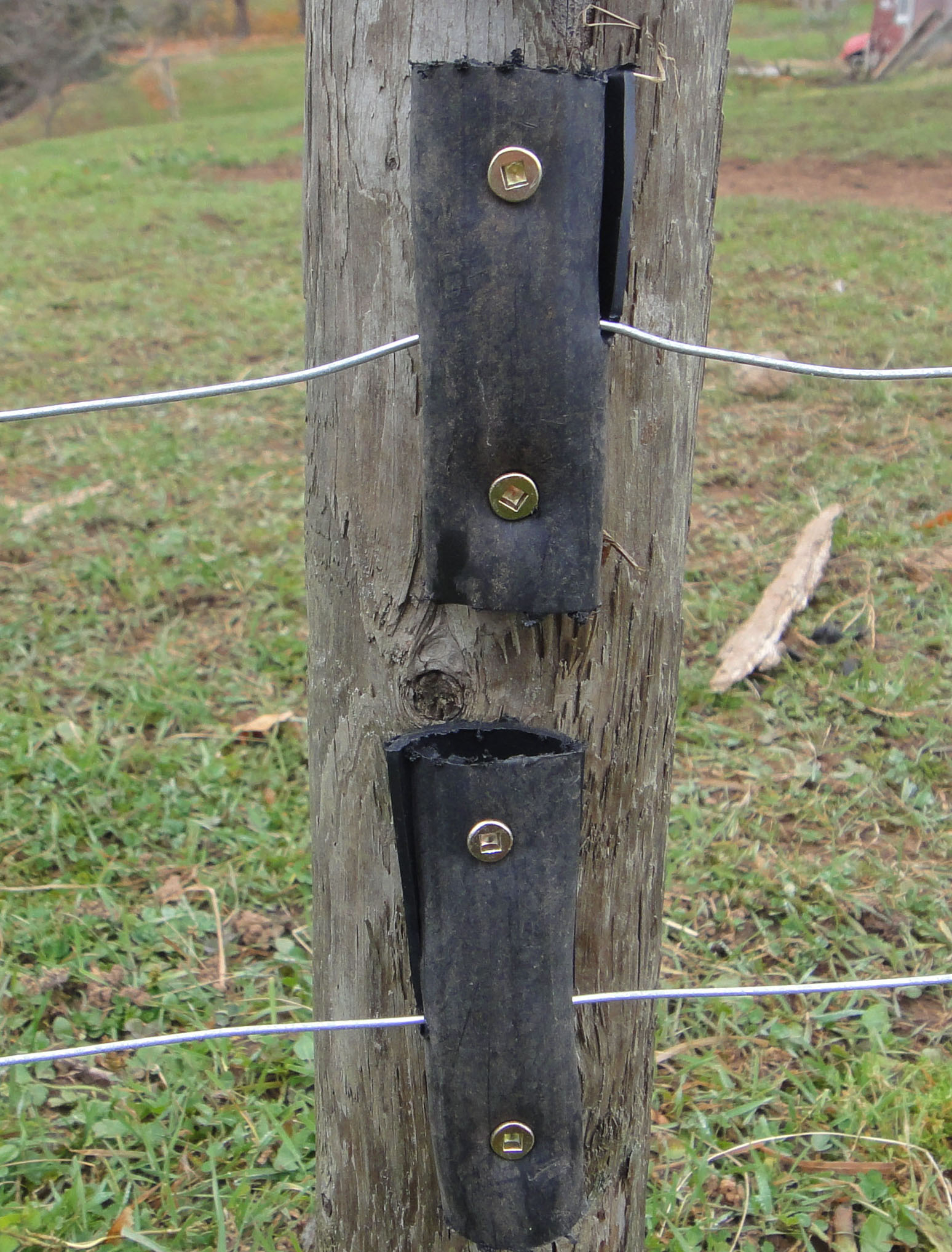 Diy Electric Fence Insulators Tipsy Toad Grove Farm throughout dimensions 1548 X 2036