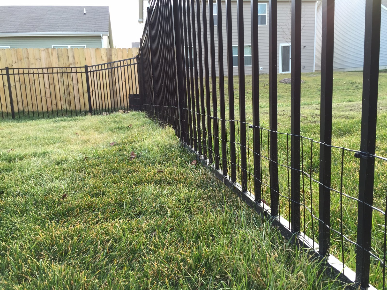 Diy Keep Small Dog In Yard With Welded Wire Aluminum Fence Addition throughout size 1600 X 1200