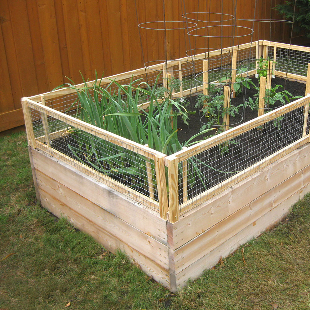 Diy Raised Bed Removable Pest Gate Vegetable Gardener regarding measurements 1000 X 1000