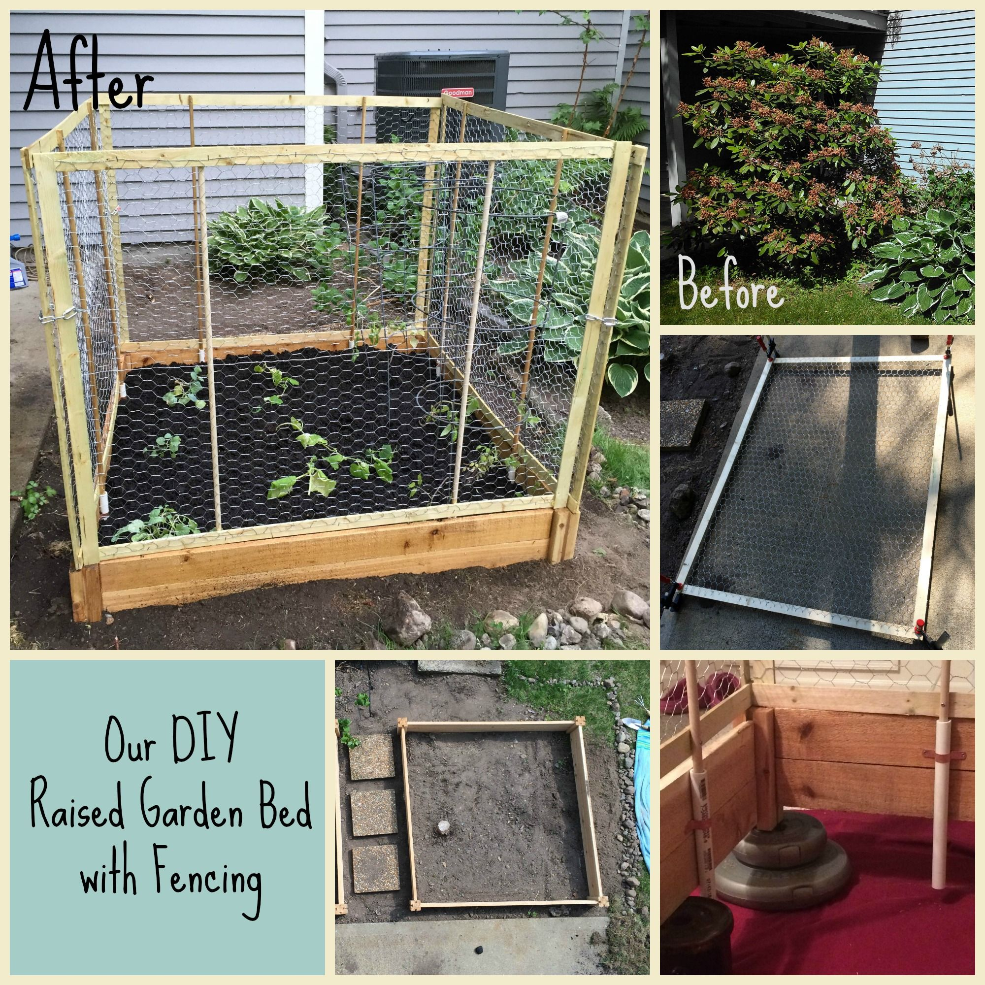 Diy Raised Bed With Fencing We Have A Major Issue With Deer And in measurements 2000 X 2000