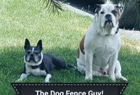 Dog Fence Guy In Lancaster York Lebanon Dauphin Chester Berks with measurements 2048 X 1665