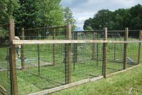 Dog Fences For Outside Ideas Design Idea And Decorations Above inside dimensions 1600 X 1200