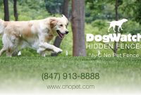 Dogwatch C No Pet Fence Enjoy The Freedom Of Our Hidden Fences within size 1280 X 720