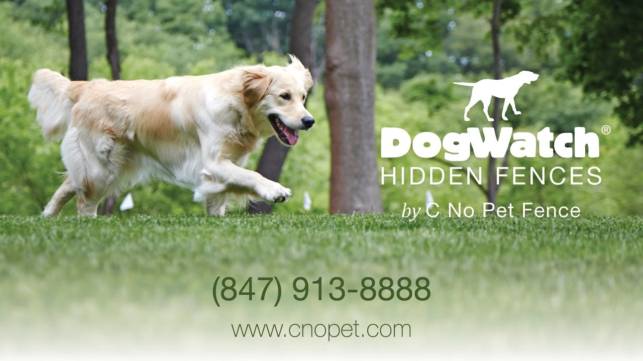 Dogwatch C No Pet Fence Enjoy The Freedom Of Our Hidden Fences within size 1280 X 720