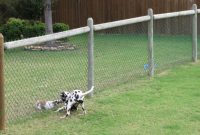 Easy Fencing For Dogs Peiranos Fences Versatile Electric Fencing in sizing 1024 X 768