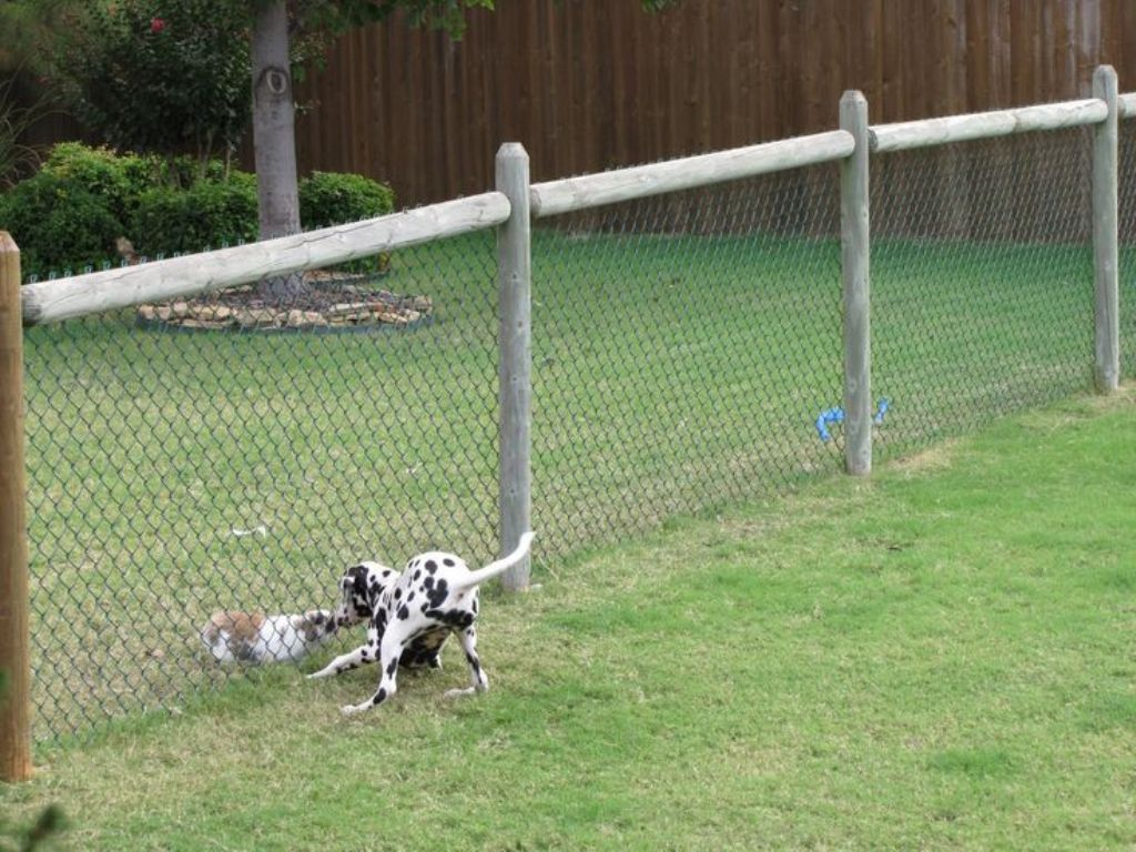 Easy Fencing For Dogs Peiranos Fences Versatile Electric Fencing in sizing 1024 X 768