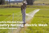 Electric Chicken Fence Poultry Netting Electric Mesh Chicken intended for measurements 1280 X 720