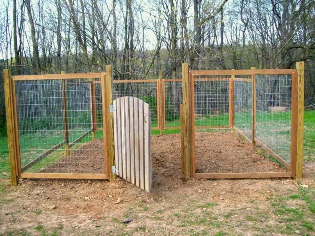 Electric Chicken Wire Fence For Dogs Above Ground The Fascinating with dimensions 1024 X 768