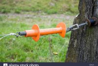 Electric Fence Gate Handle Stock Photo 35884184 Alamy in measurements 1300 X 956