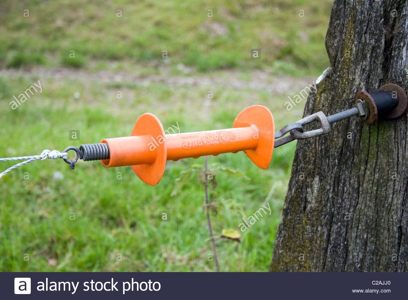 Electric Fence Gate Handle Stock Photo 35884184 Alamy in measurements 1300 X 956