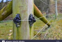 Electric Fence Wire Going Over Insulators On Wooden Fence Post Stock for sizing 1300 X 957