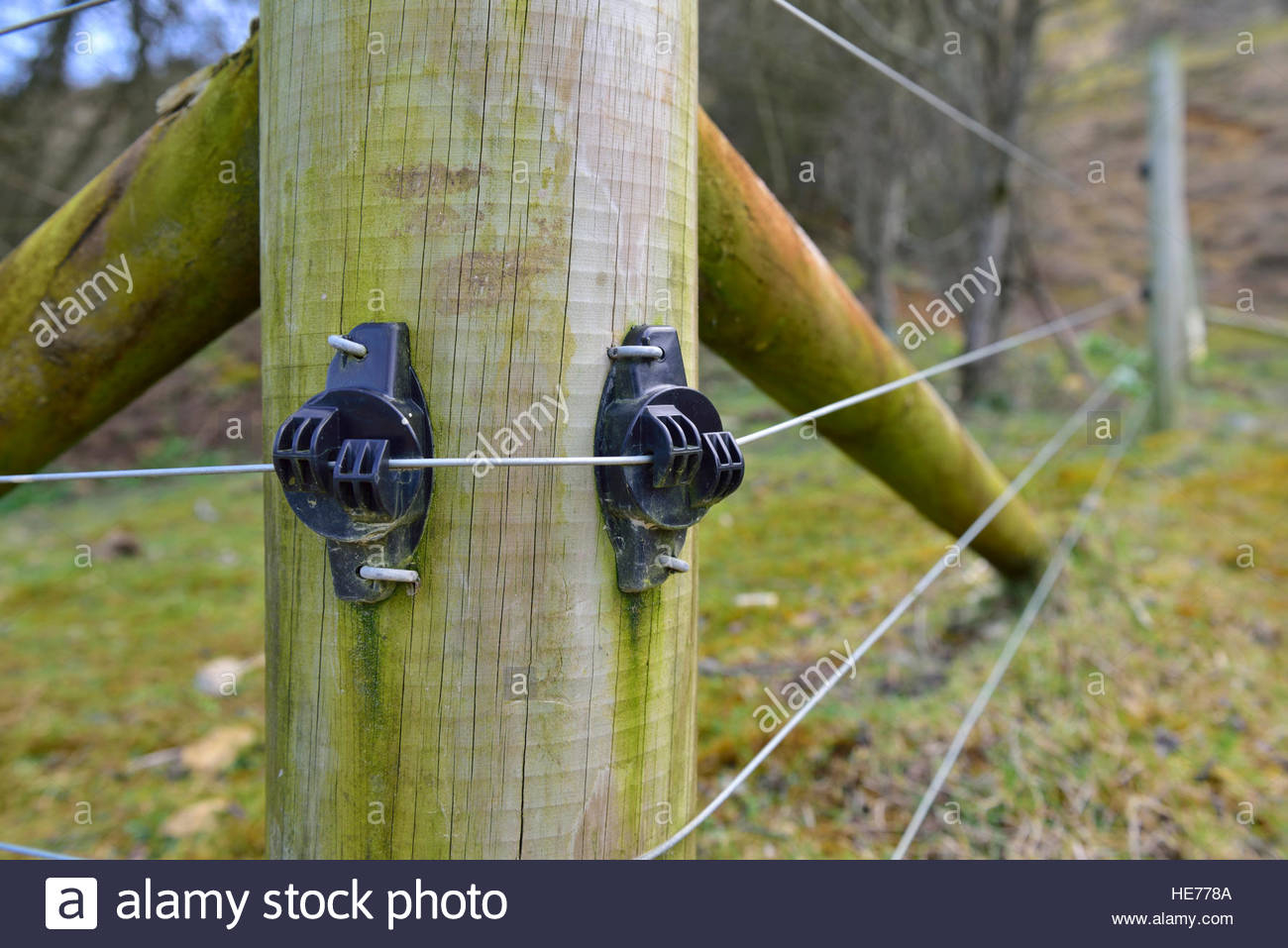 Electric Fence Wire Going Over Insulators On Wooden Fence Post Stock for sizing 1300 X 957