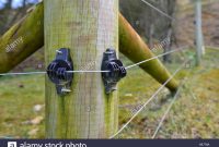 Electric Fence Wire Going Over Insulators On Wooden Fence Post Stock inside size 1300 X 957