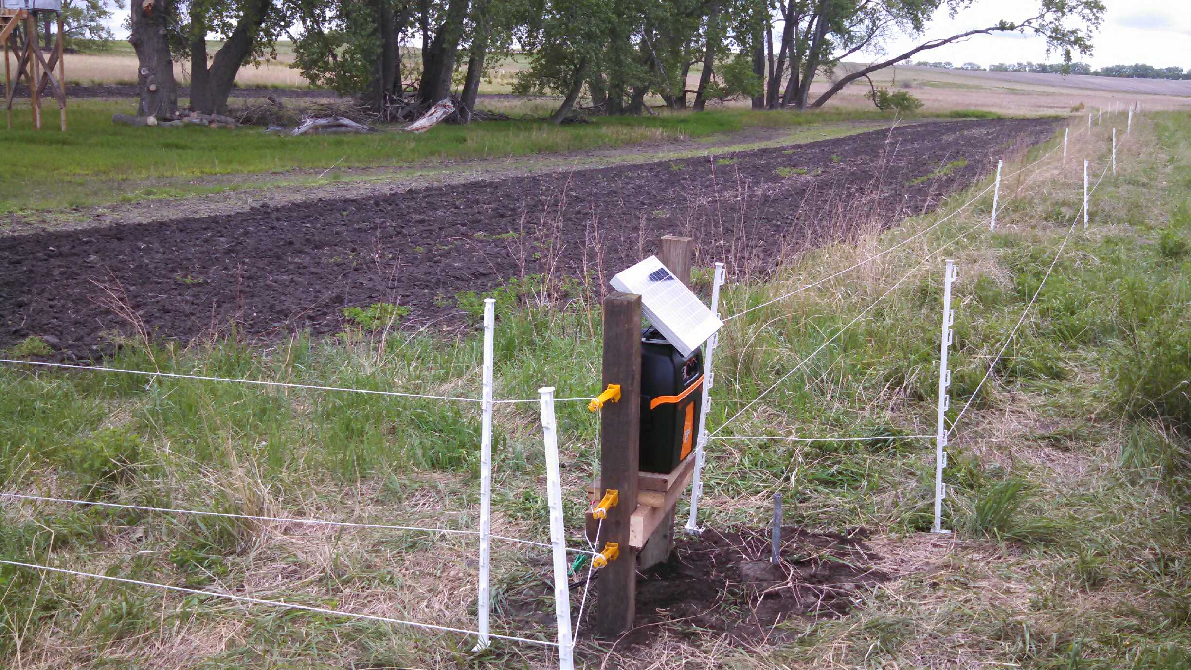 Electric Fences For Deer Fences Design throughout measurements 2448 X 1377