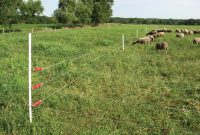 Electric Fencing Basics Electric Fencing Farming And Homesteads with regard to dimensions 1200 X 900