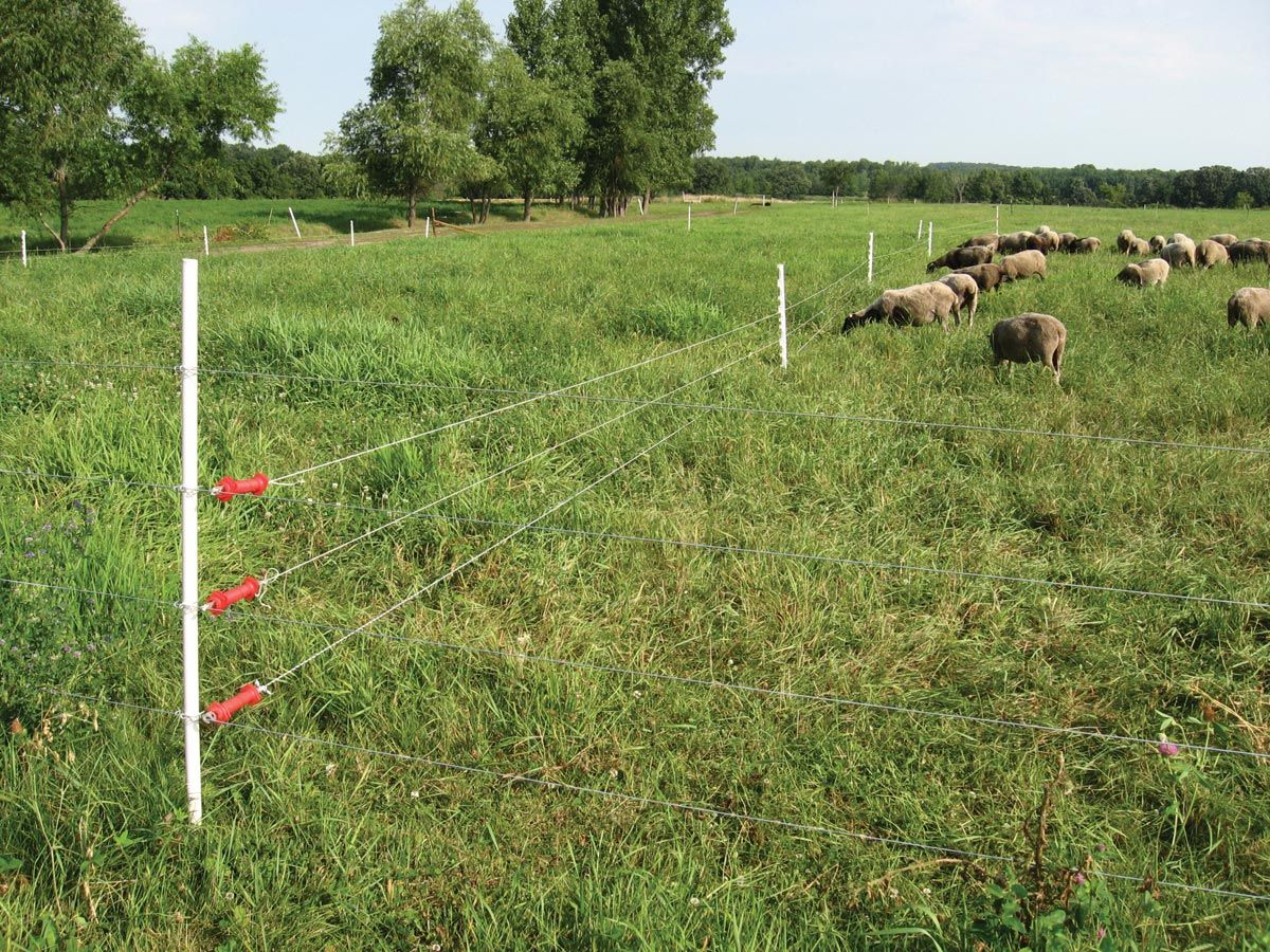 Electric Fencing Basics Electric Fencing Farming And Homesteads with regard to dimensions 1200 X 900