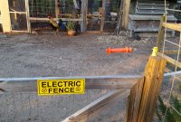 Electric Fencing For Chicken Run Fences Design regarding measurements 5312 X 2988