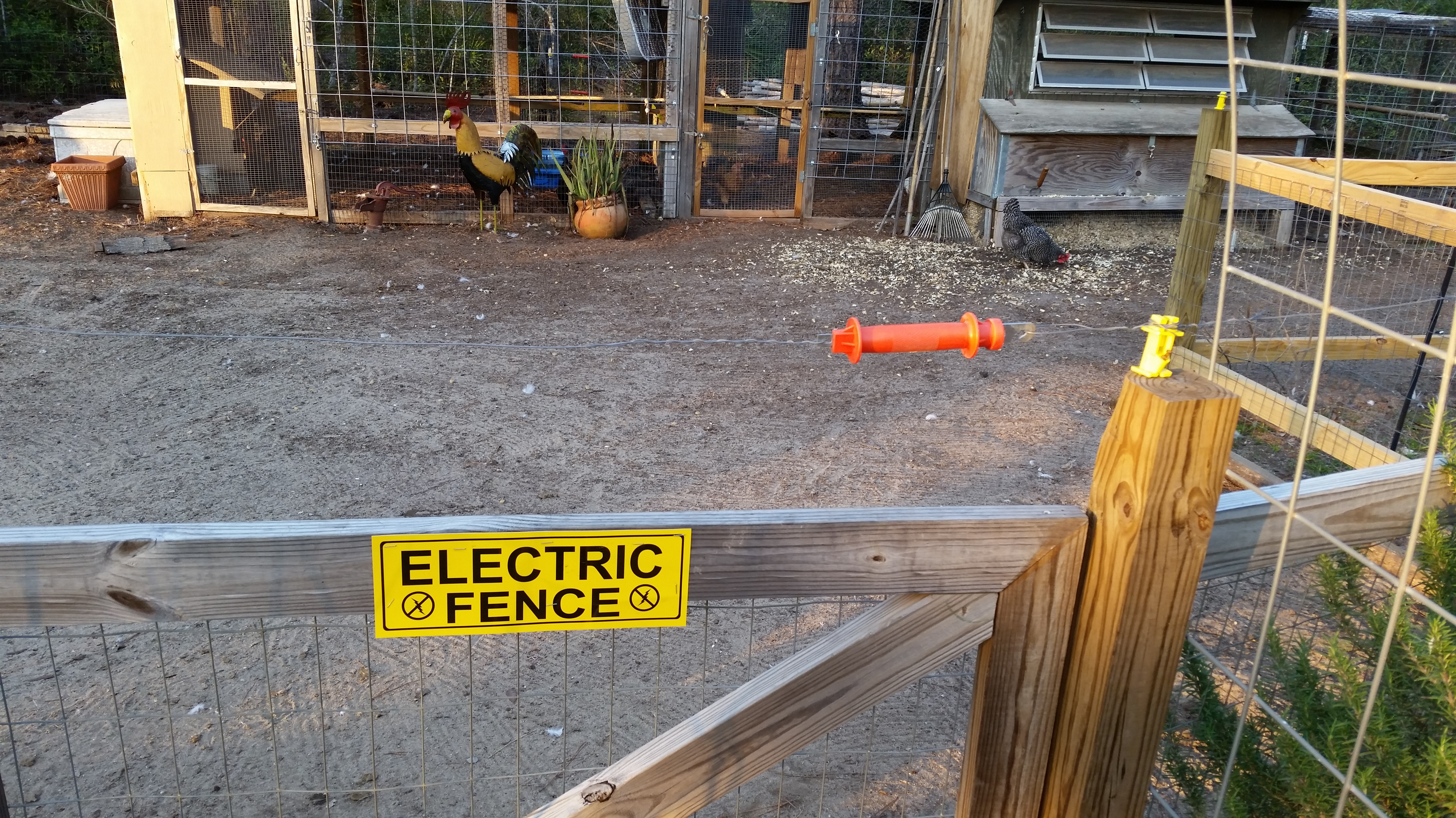 Electric Fencing For Chicken Run Fences Design regarding measurements 5312 X 2988