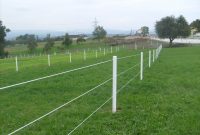 Electric Fencing For Horses Fences Ideas throughout proportions 2048 X 1536