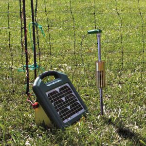 Electric Fencing Kit Solar Purely Poultry regarding dimensions 900 X 900