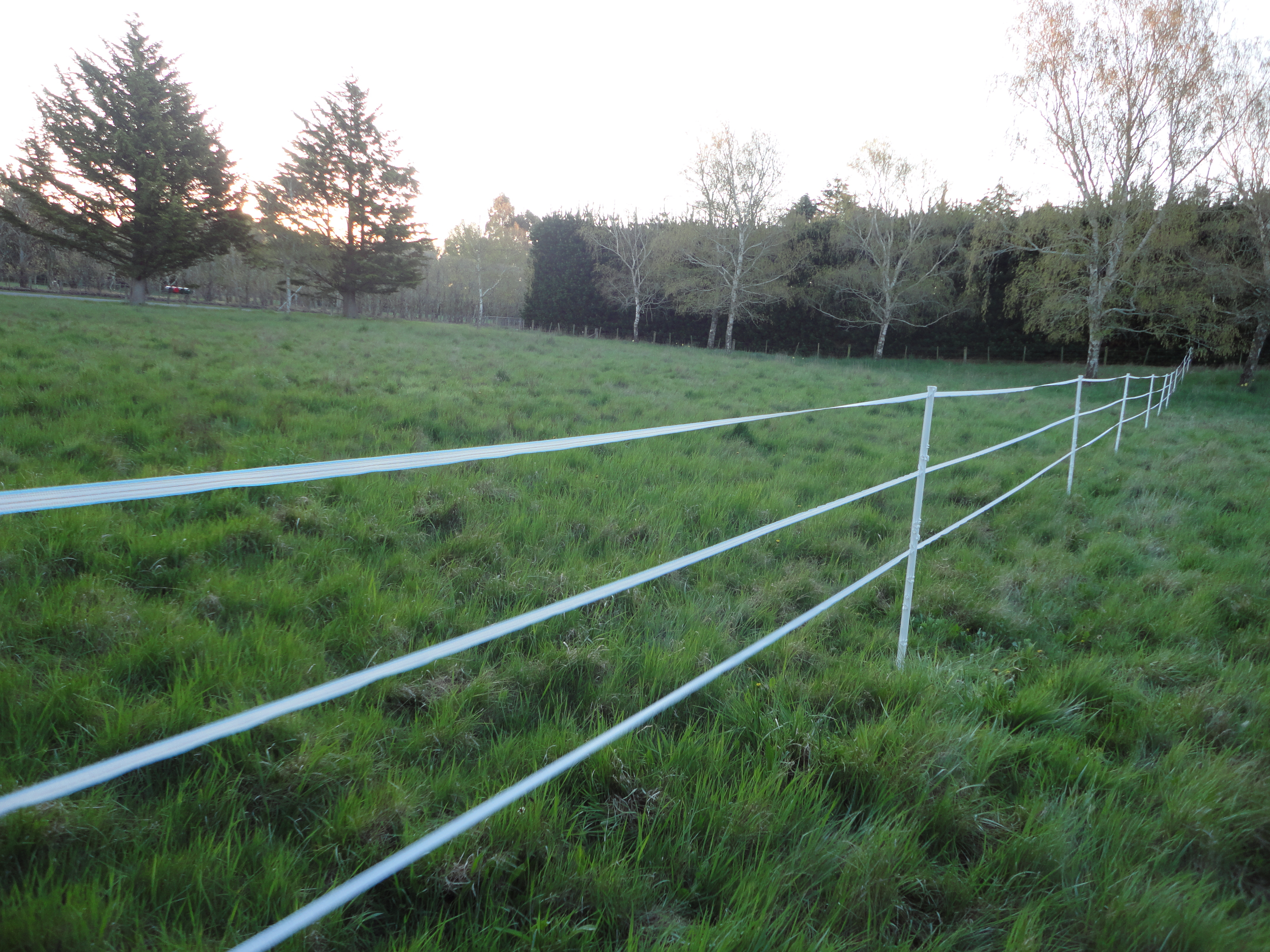 Equine Electric Fence Posts Bundle Of 10 Nzeaola regarding sizing 4320 X 3240