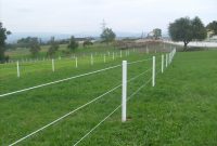 Equisafe Uk Electric Fencing within proportions 2048 X 1536