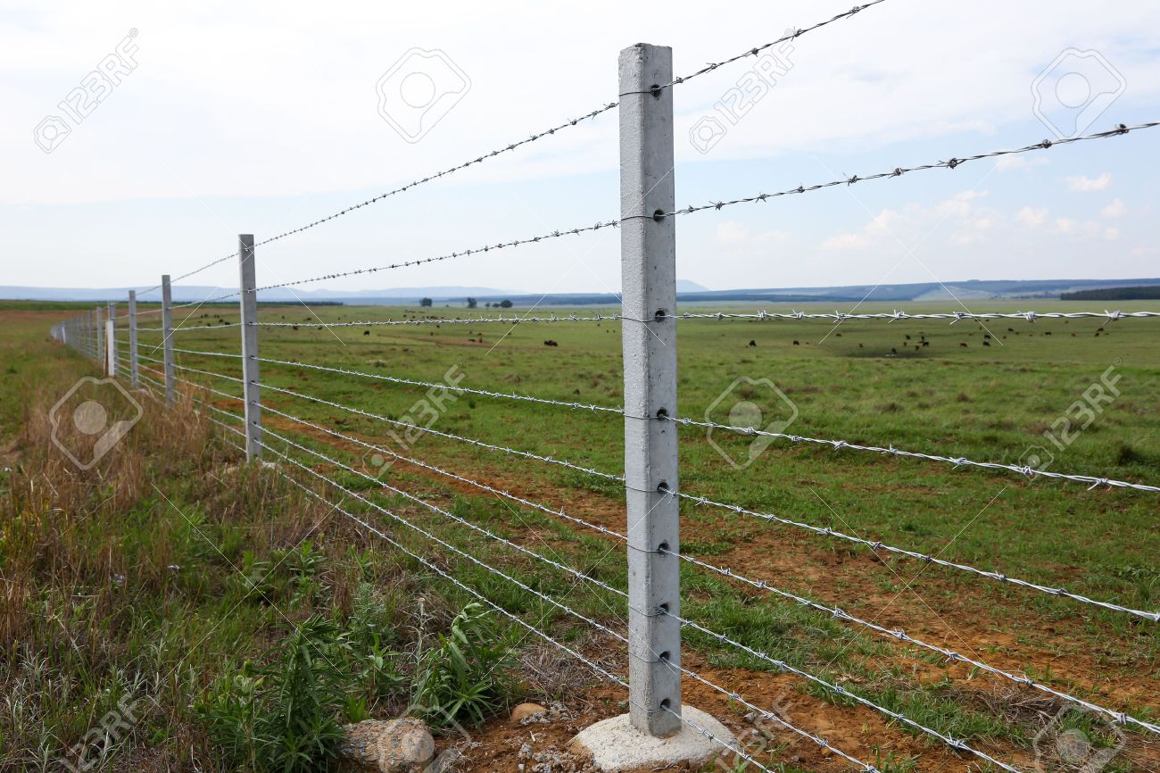 Farm Fence With Concrete Fencing Posts And Barbed Wire Strands Stock for proportions 1300 X 866