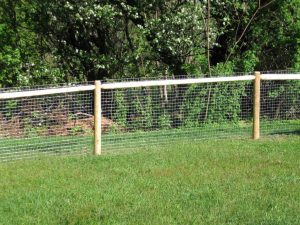 Fence Chicken Wire Fence Gate Chicken Wire Fence Bq Chicken Wire intended for sizing 1024 X 768