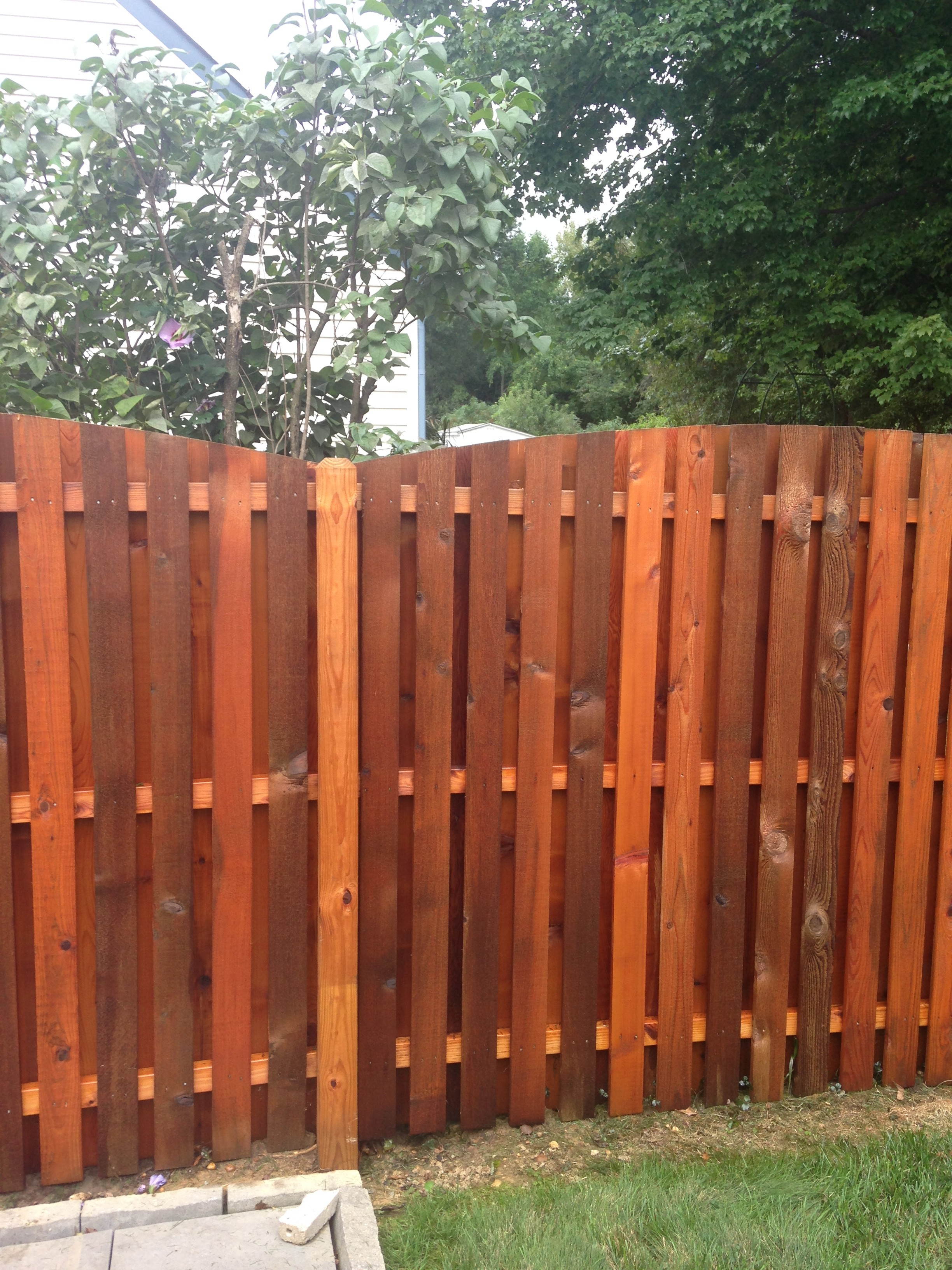 Fence Cleaning And Staining with proportions 2448 X 3264